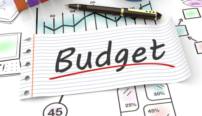 Budgeting made stupid easy